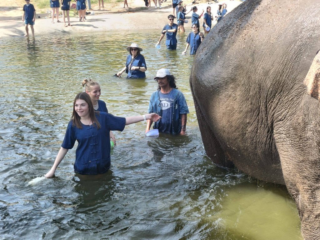 FIT Couple — Elephant Sanctuary