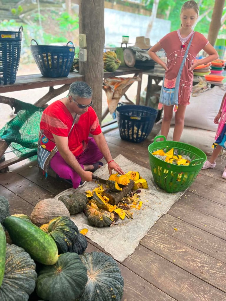 Elephant Feeding — Chiang Mai Sanctuary 2026