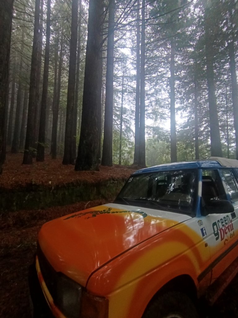 Jeep tour in Madeira mountains