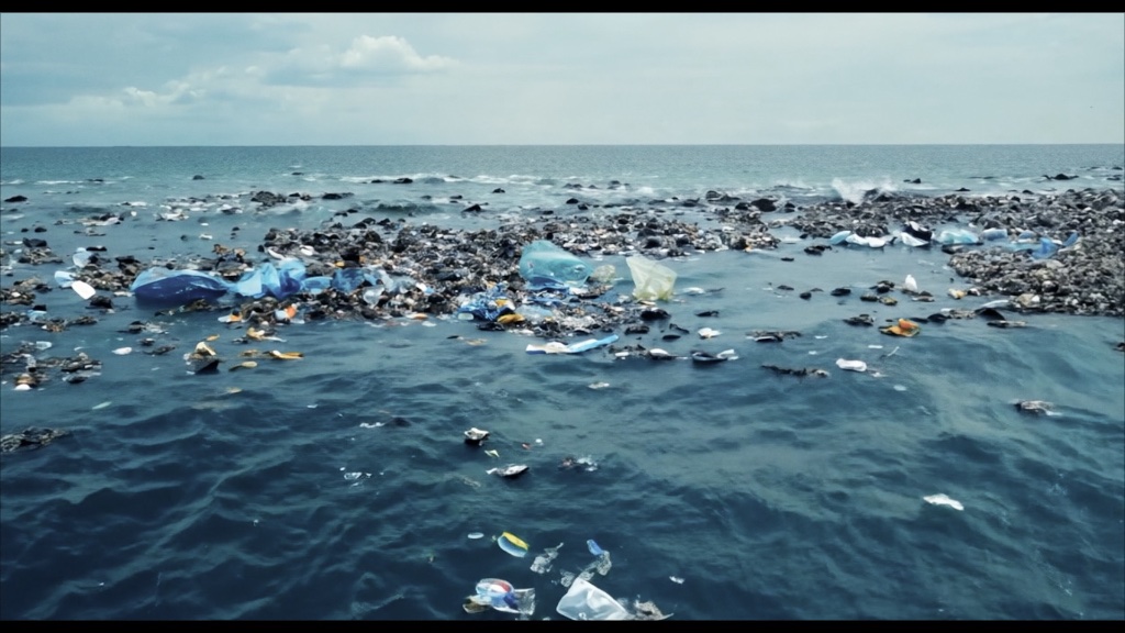Plastic Shore