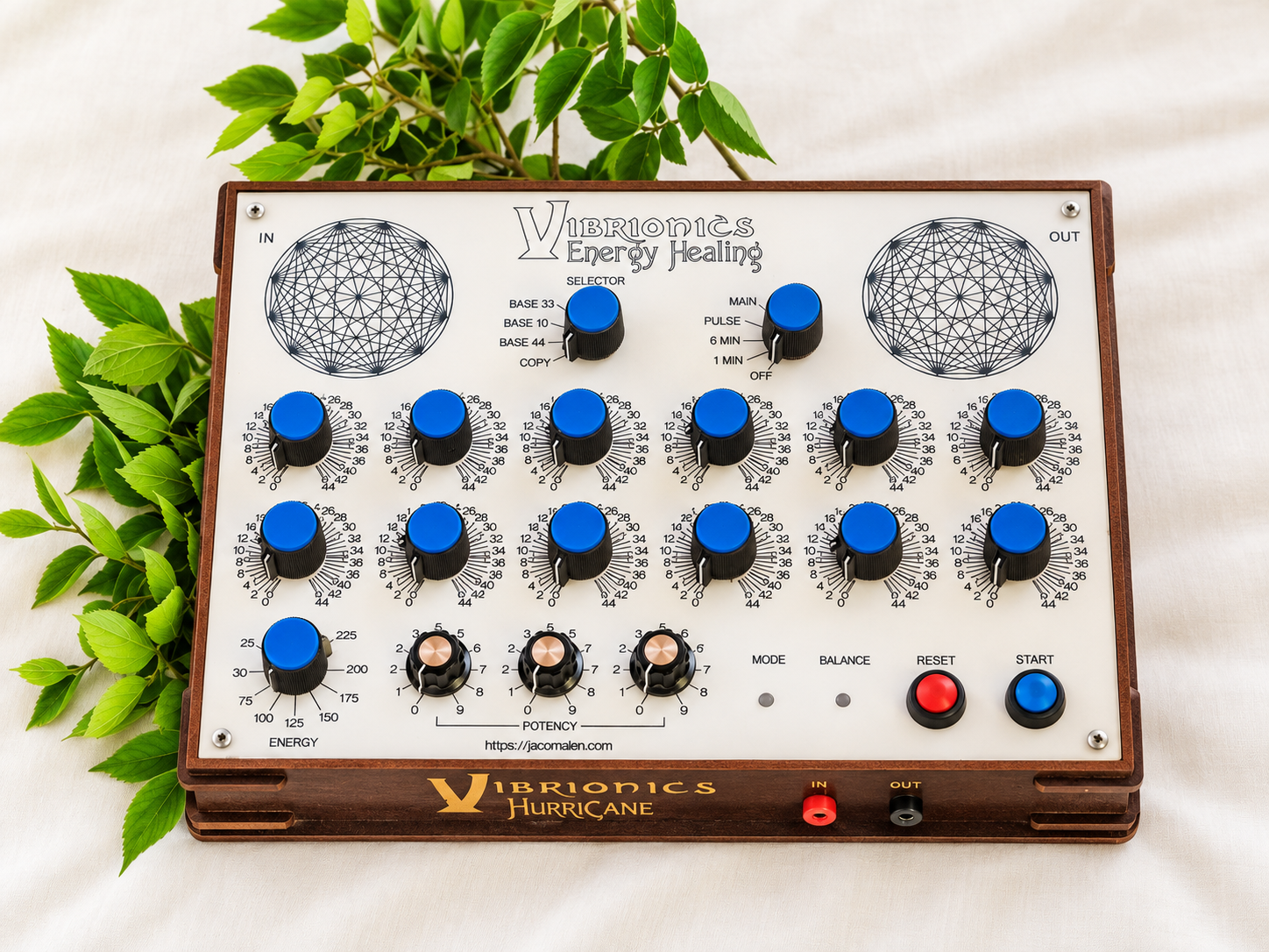 Hurricane Vibrionics machine used by Maxine Immelman for personalised remote Vibrionics sessions