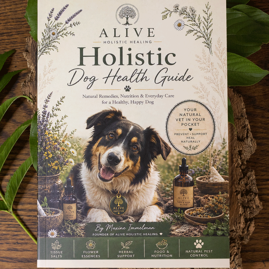 ALIVE Holistic Dog Health Guide by Maxine Immelman natural dog wellness book