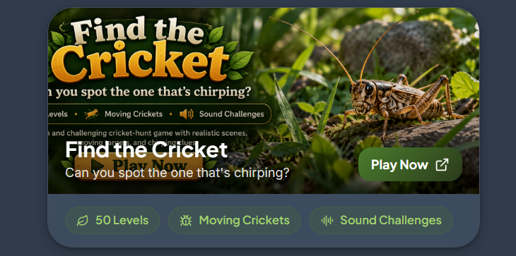 Find the Cricket preview