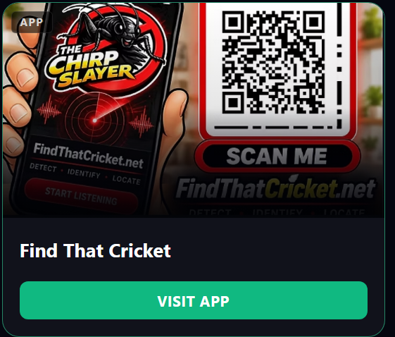 Find That Cricket preview