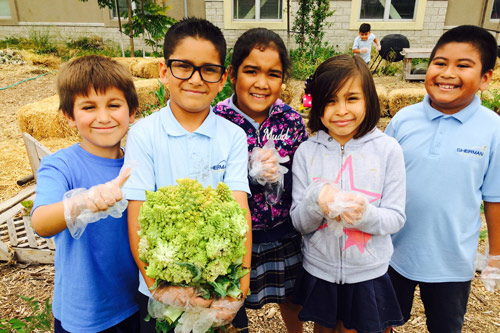 Children posing in a school garden holding a freshly harvested Romanesco broccoli
