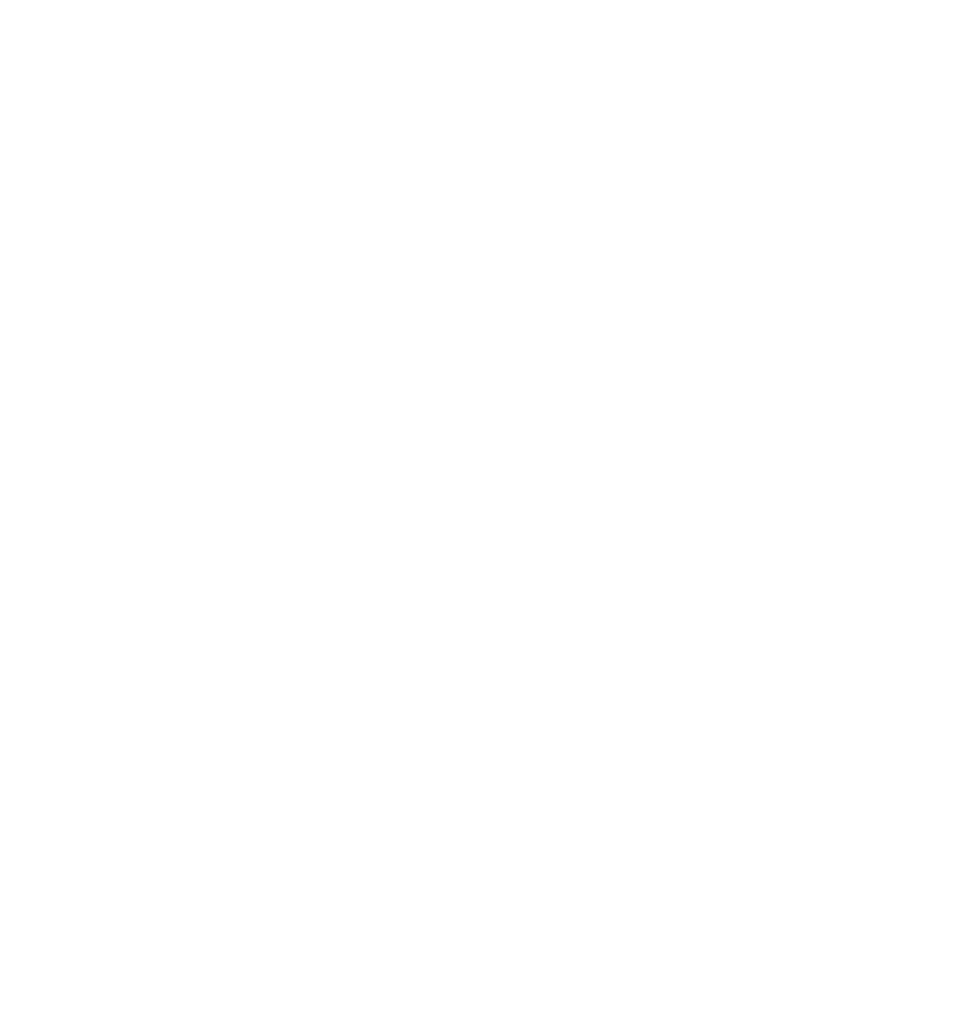DIPPER DZN Logo