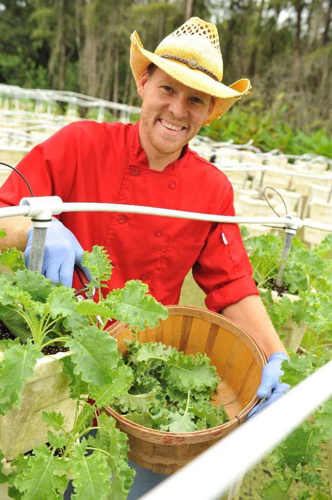 Chef portrait harvesting greens on farm