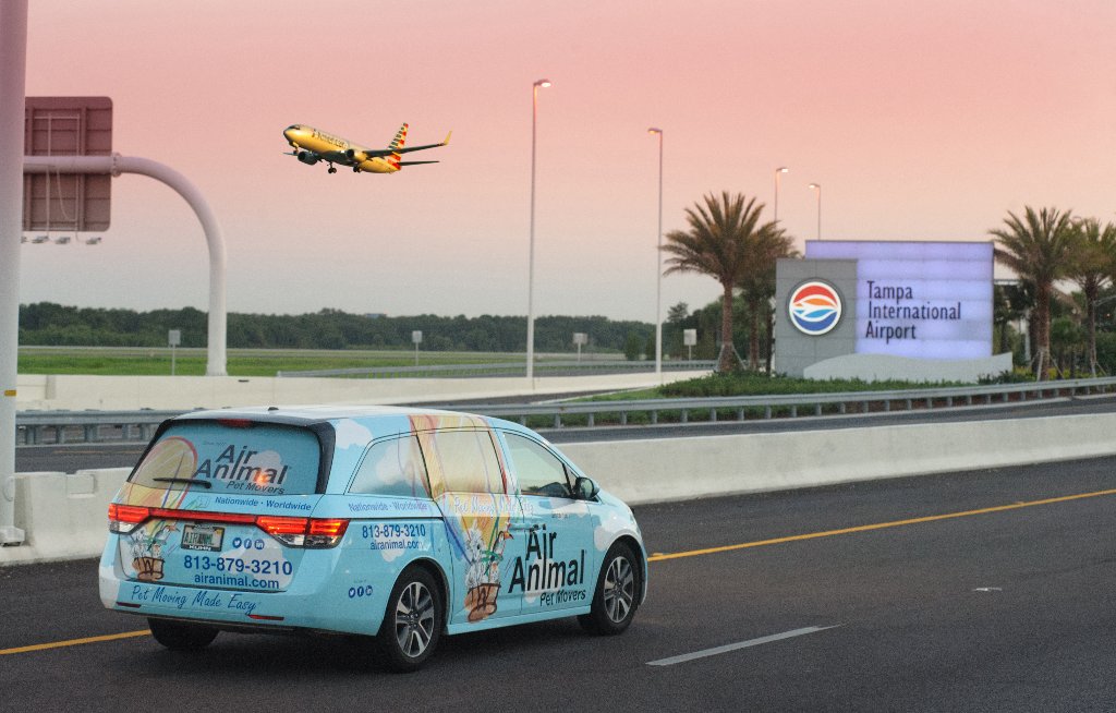 Air Animal Pet Movers van at Tampa International Airport