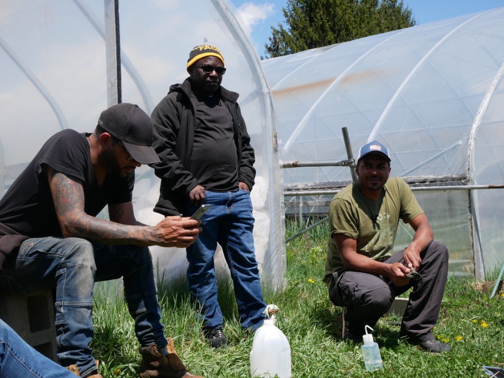 Pocasset Pokanoket Land Trust — Institutional Organizing 3