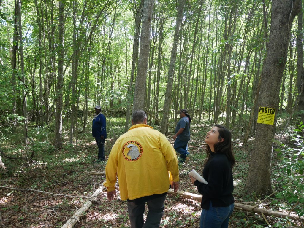 Pocasset Cedar Swamp — Land Back, Tiverton, R.I.
