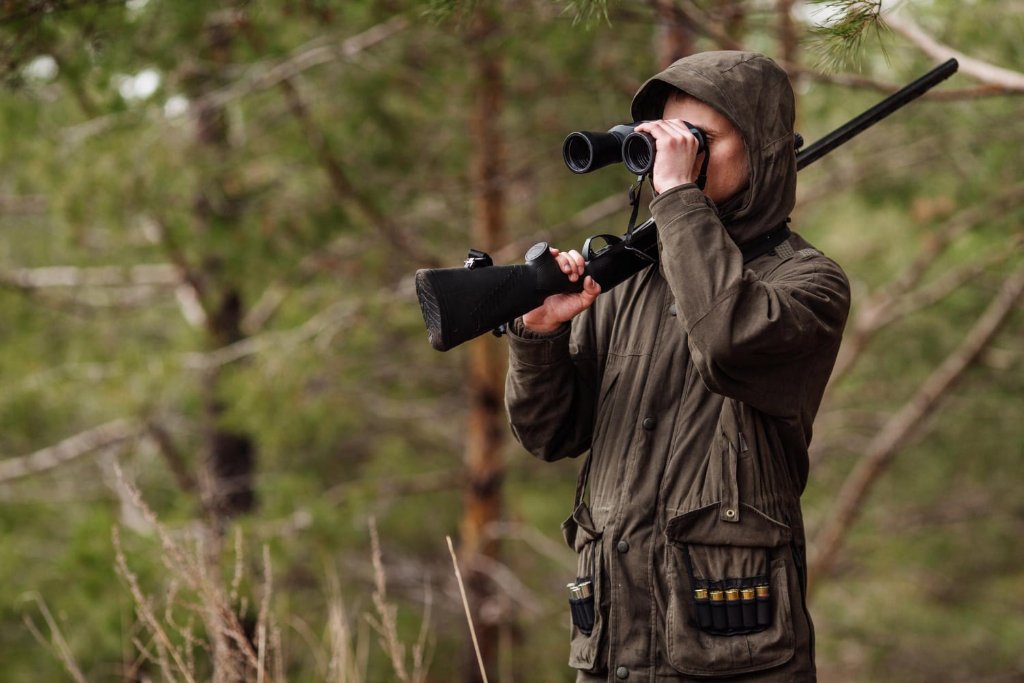 Chasse et tir sportif