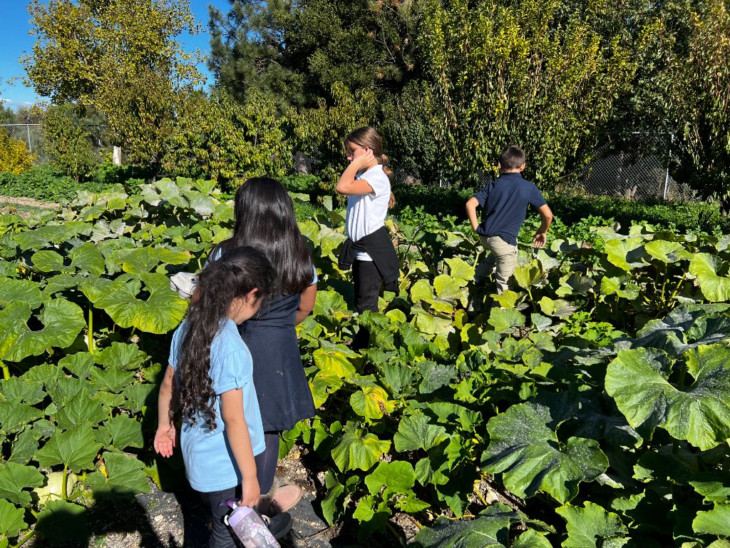 Garden 1