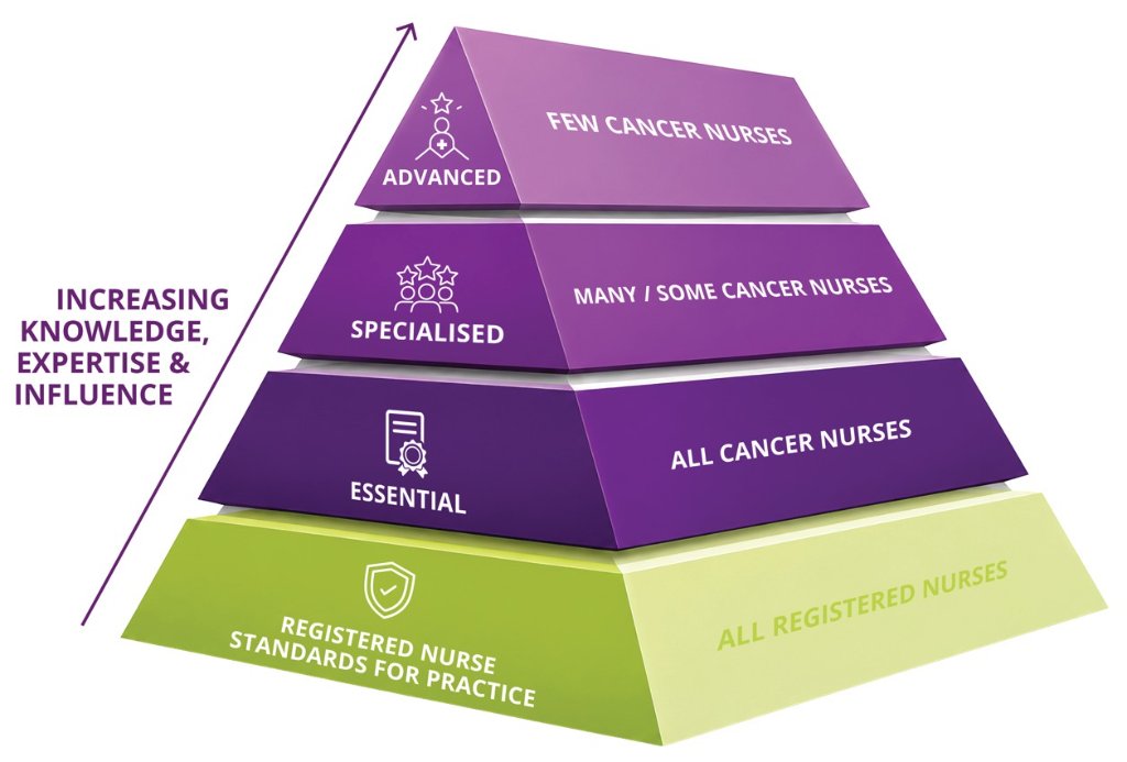 AusCaN Capability Pyramid