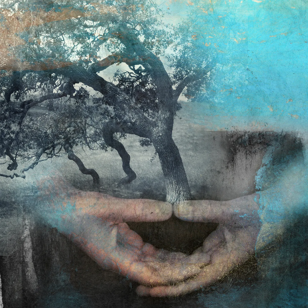 The Gift Hidden in the Wound
