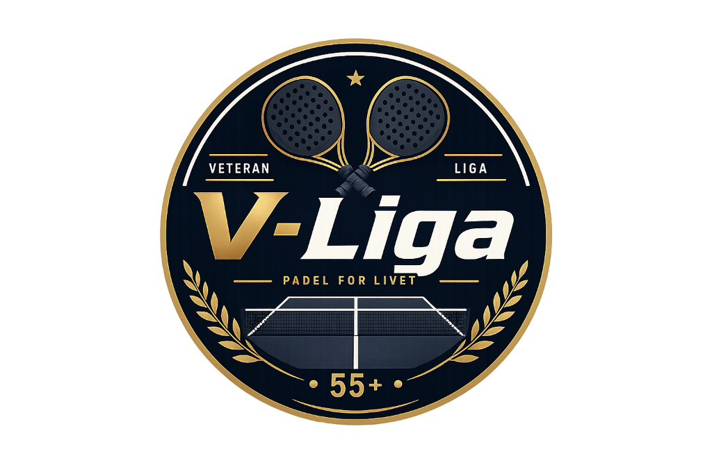 V-Liga logo