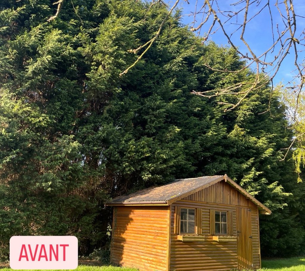 Avant