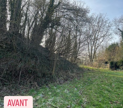 Avant