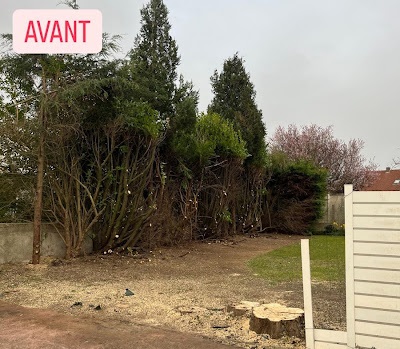 Avant
