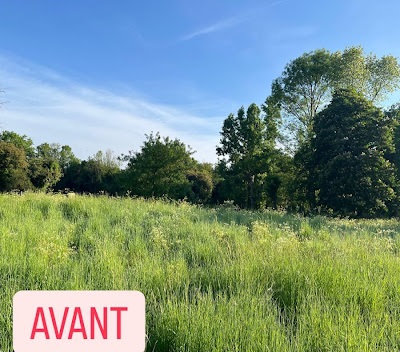 Avant