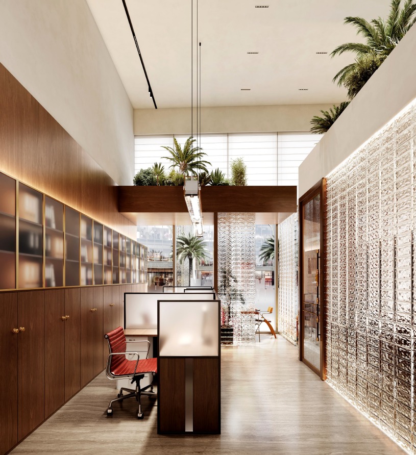 Developer Group — Executive HQ