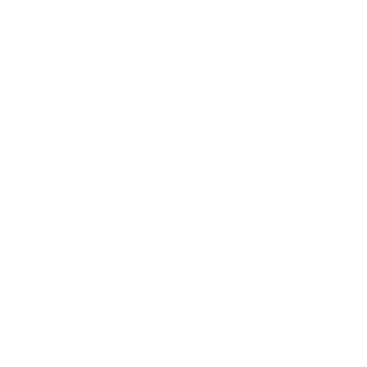 Tidal