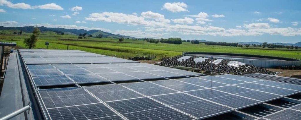 Solar installation on a Waikato property at golden hour