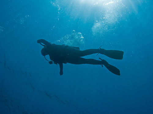SCUBA diver swimming underwater surrounded by rising bubbles
