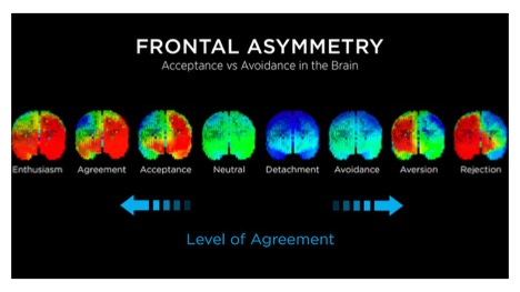 Frontal Asymmetry: Acceptance vs Avoidance in the Brain — EEG heatmaps
