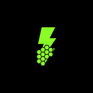 MaX1mum logo