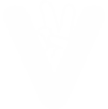 Gesture V