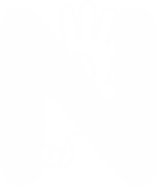 Gesture N