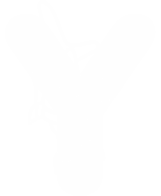 Gesture Y
