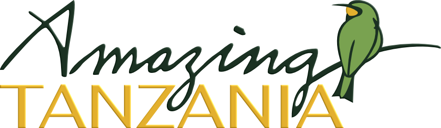 Amazing Tanzania
