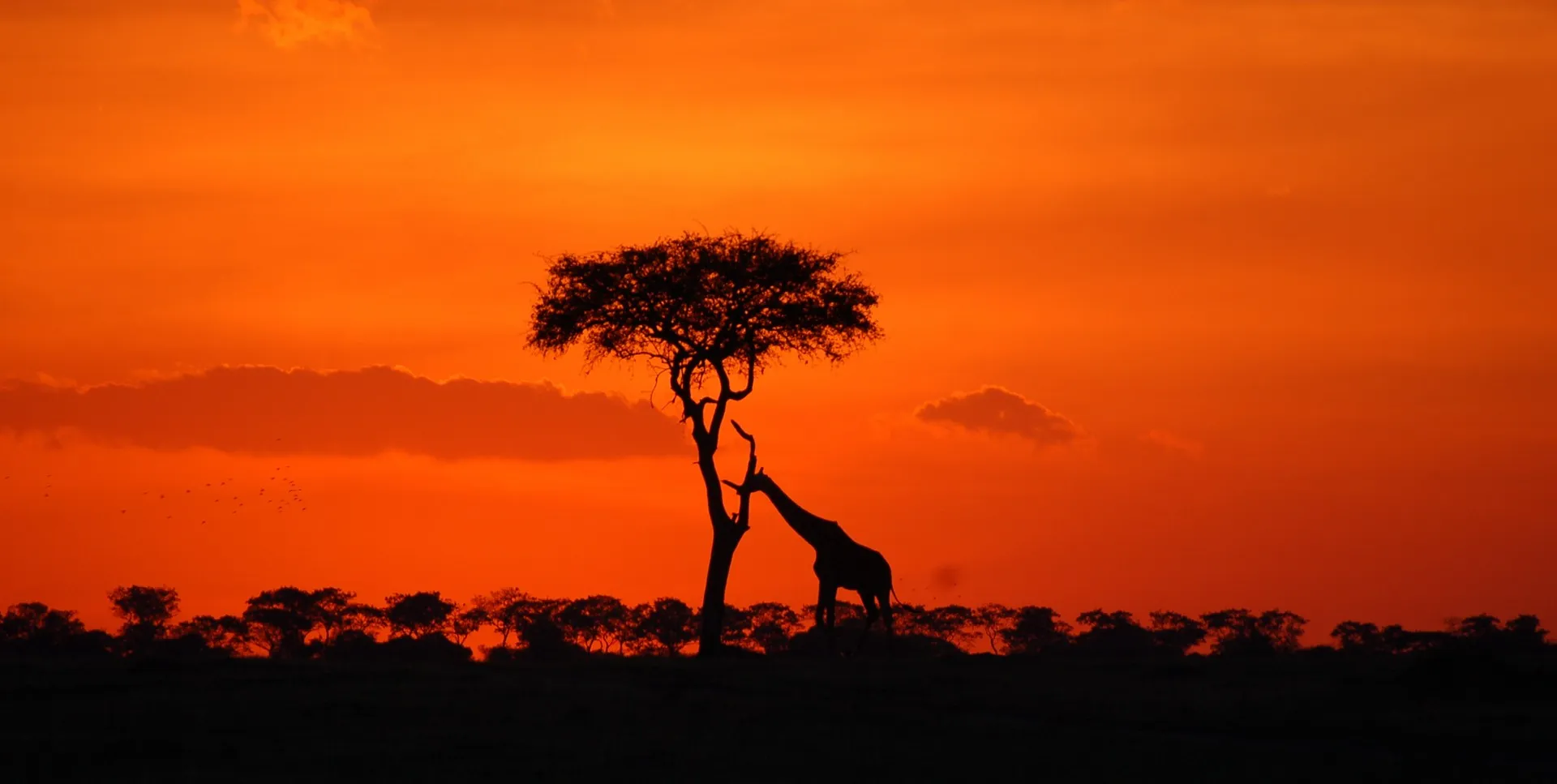 Amazing Tanzania — iconic safari landscape