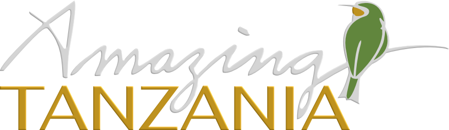 Amazing Tanzania