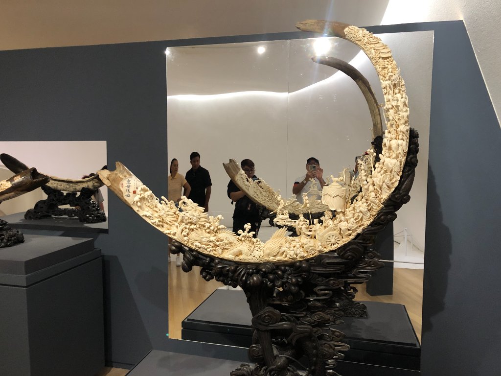 Galería 5