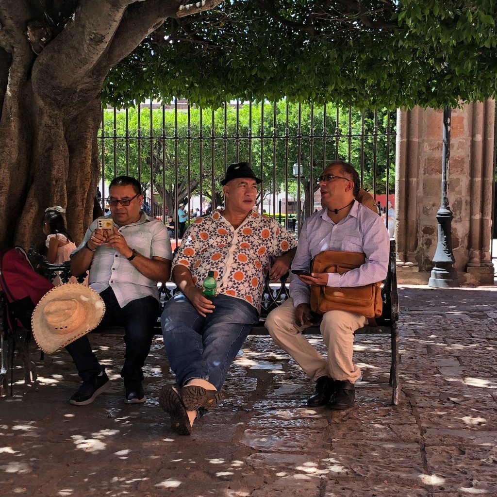 Galería 1