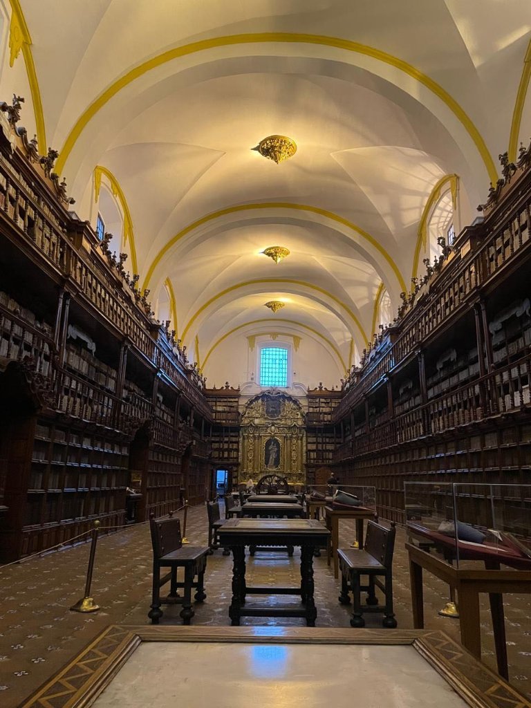 Galería 8
