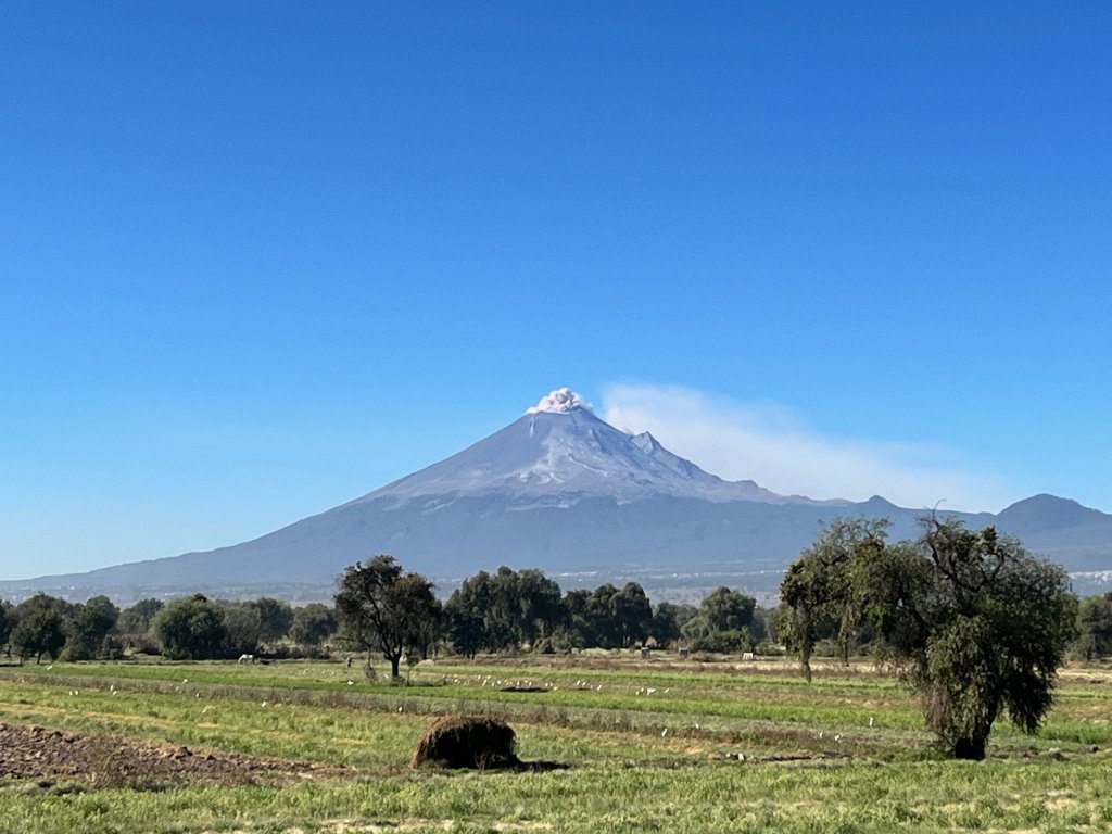Galería 18
