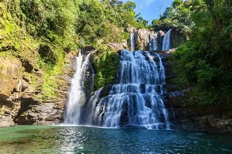 Cascada en la selva