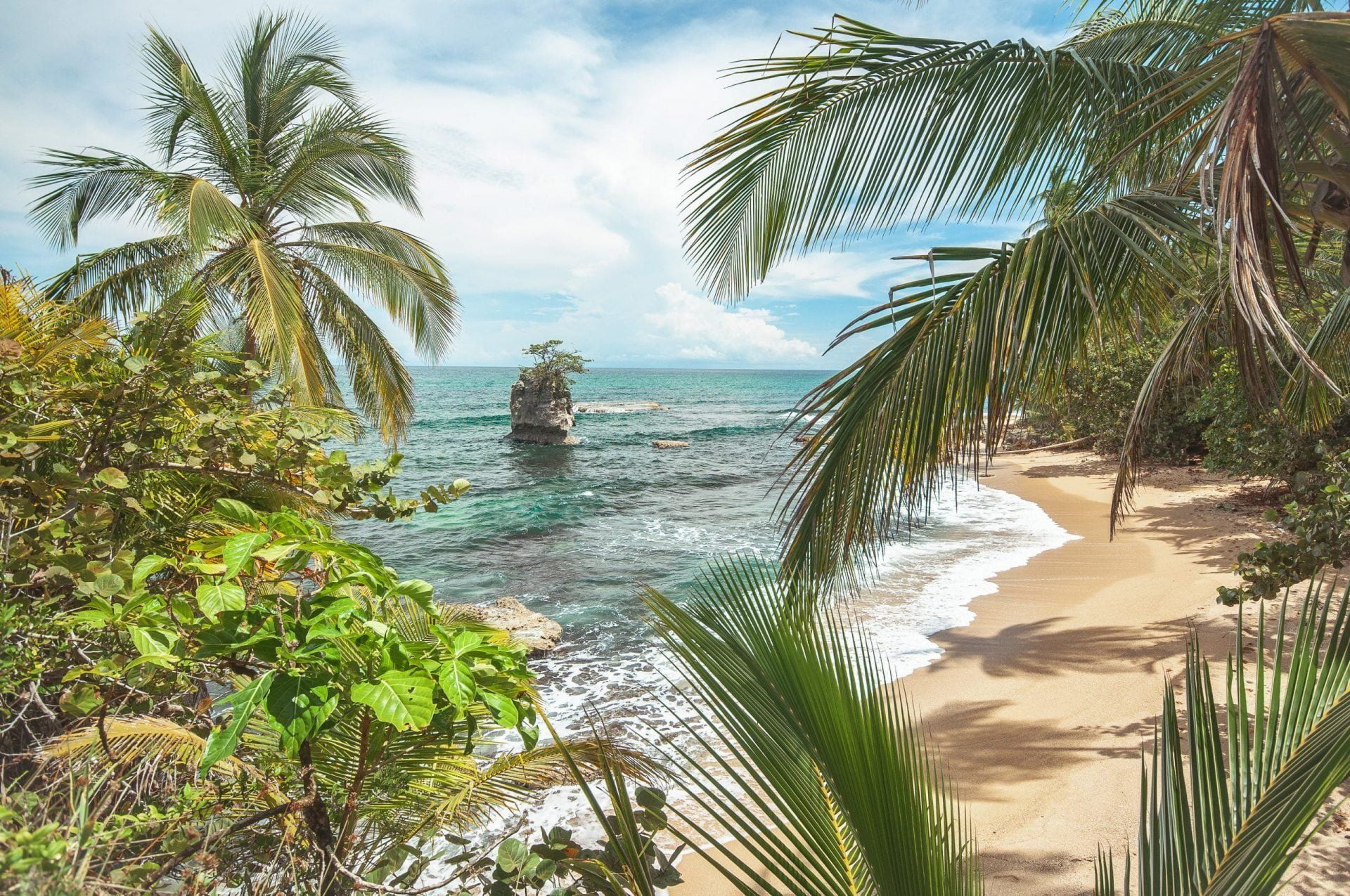 Selva sagrada de Costa Rica