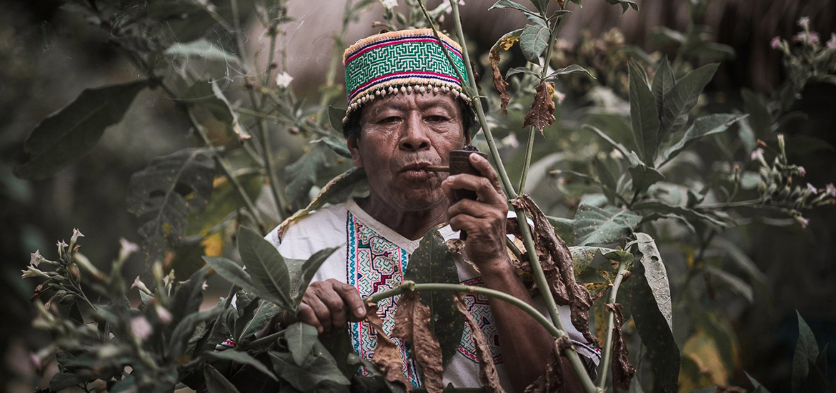 Ceremonia de Ayahuasca