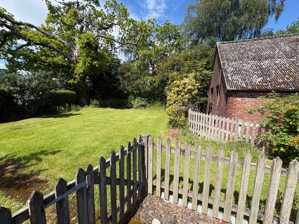The Summer Lawn