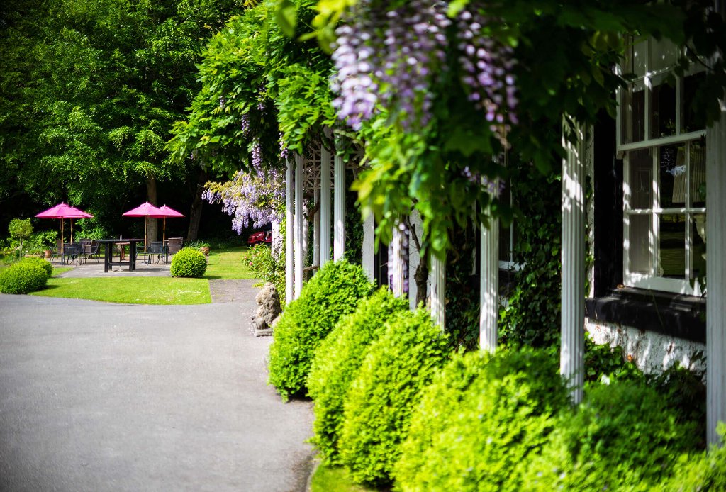 The Wisteria Walk
