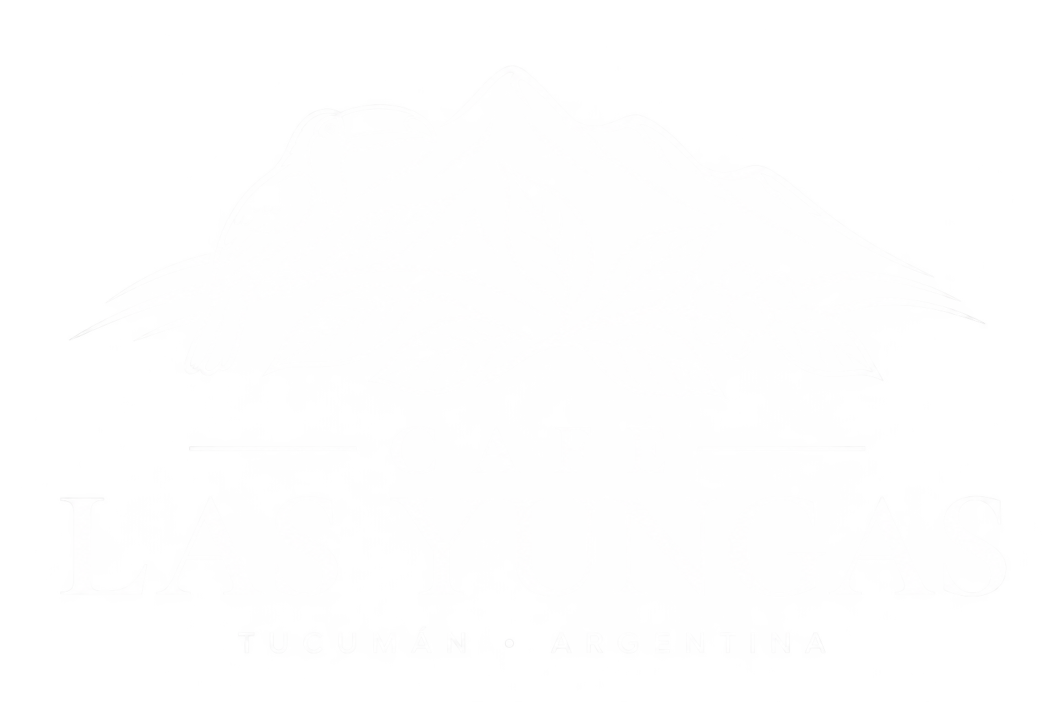 Café Las Yungas