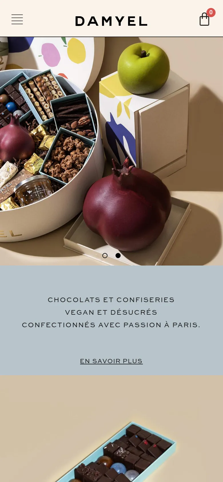 Page d'accueil du site DAMYEL sur mobile