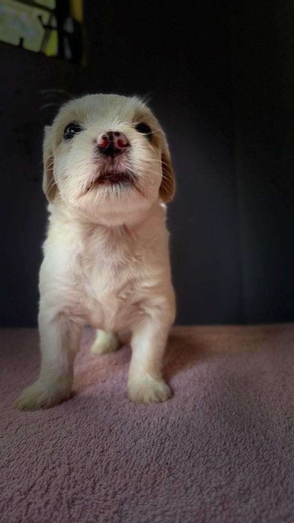 Thumbnail 19 of Butters