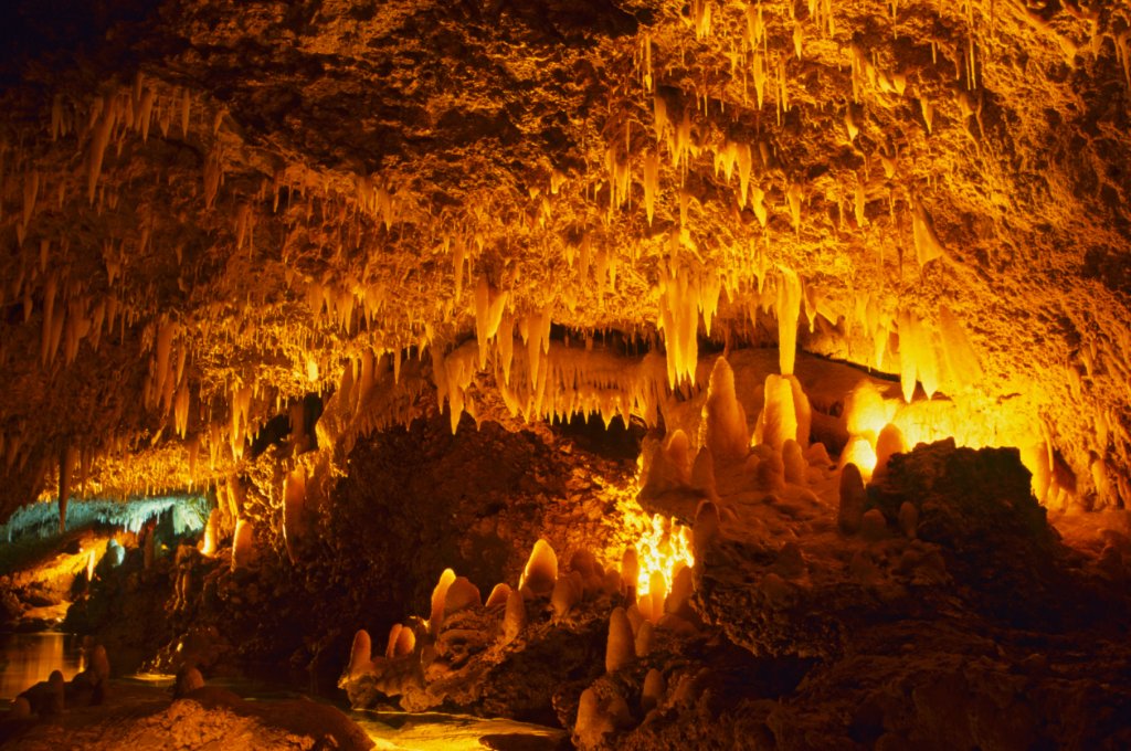 Harrison's Cave & Highlands