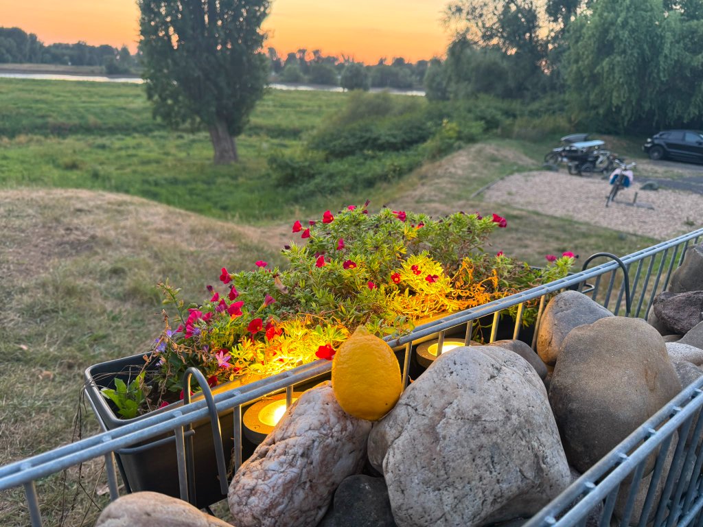 Zum Alten Fischerhaus I Lemon Times