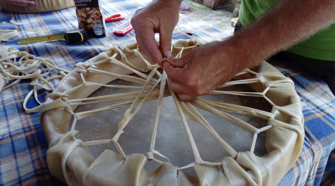 Goldweide Trommelbau I Schamanische Trommeln I Lemon Times